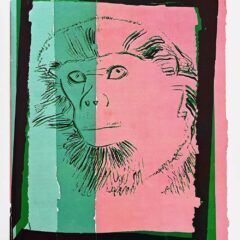 Andy Warhol Douc Langur 1986 Vanishing Animals