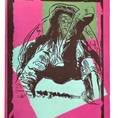 Andy Warhol Galapagos Tortoise 1986 Vanishing Animals