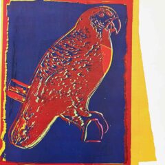 tAndy Warhol Puerto Rican Parrot 1986 Vanishing Animals