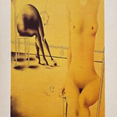 Paul Wunderlich 44 Personnage En Jaune