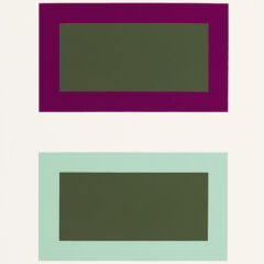 2009 Josef Albers The Interaction of Color Plate IV-1(2)