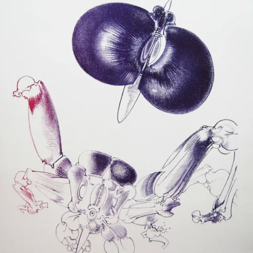 François Lunven, Hand Signed Original Lithograph, Poete aux interstices 1972